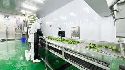 科技賦能，山丹果蔬煥新彩 精深加工引領傳統產業出圈